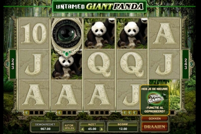 Giant Panda