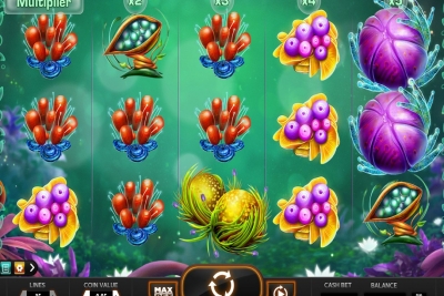 Fruitoids